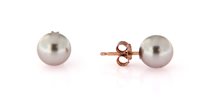 Orecchini Forever Gioielli Donna Orecchini Perla in Argento Perla FGOR00081 - FGOR00081